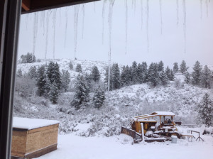 Snow covered pumphouse on the left.