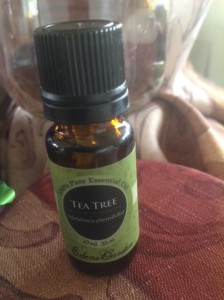 Eden's Garden Tea Tree Essential Oil