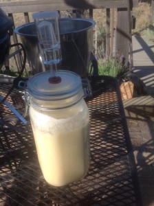 Sourdough batter all mixed up in the Pickl-It jar for next day's breakfast. This batter will make up 18 pancakes or 6 waffles.