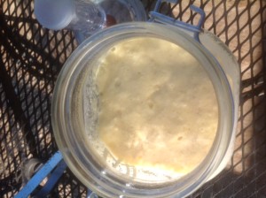 Sourdough Waffle Batter